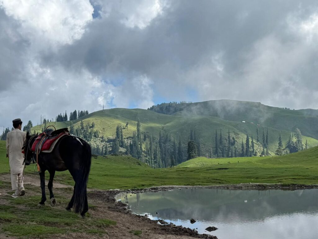 shogran pakistan - meadows