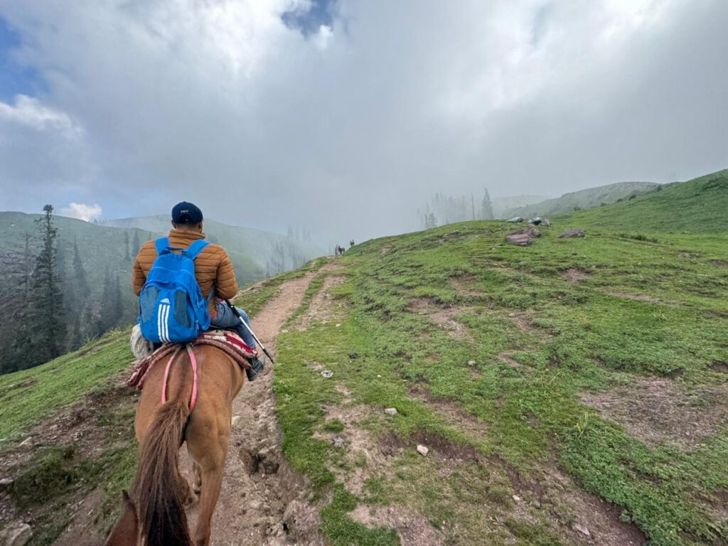 Shogran pakistan - Paye Top