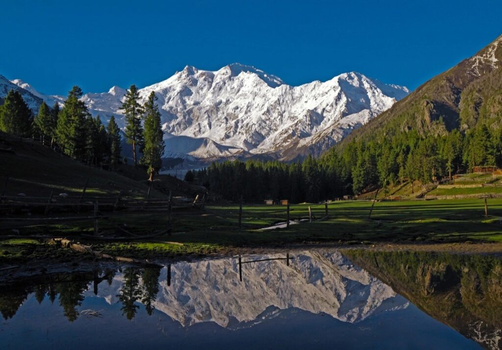 Fairy Meadows