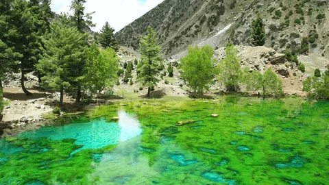 Naltar Valley