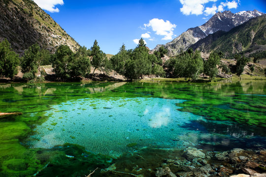 Naltar Valley