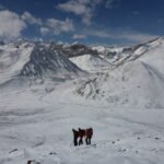 Shimshal Valley